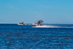 Alligatortur med Airboat Adventures, New Orleans, Louisiana, USA