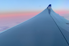 Hjemad mod København via Stockholm med SAS