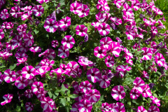 Bellagio, Como, Italien