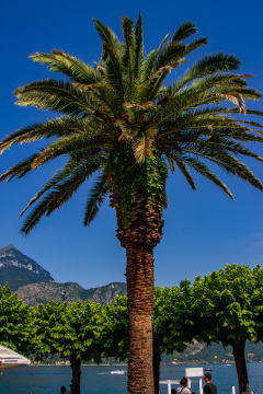 Bellagio, Como, Italien