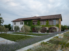 Poderi Luigi Einaudi, Dogliani, Piemonte, Italien