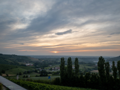 Poderi Luigi Einaudi, Dogliani, Piemonte, Italien
