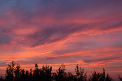 Poderi Luigi Einaudi, Dogliani, Piemonte, Italien