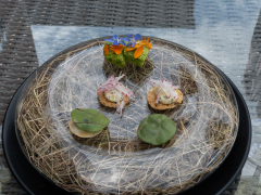 Frokost hos L'Alchemille, Kaysersberg, Frankrig