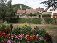Kaysersberg, Alsace, Frankrig