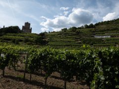 Kaysersberg, Alsace, Frankrig
