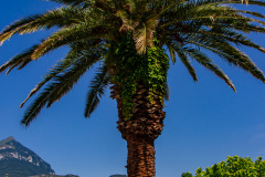 Bellagio, Como, Italien