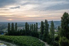 Poderi Luigi Einaudi, Dogliani, Piemonte, Italien