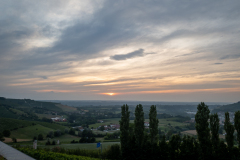Poderi Luigi Einaudi, Dogliani, Piemonte, Italien