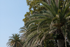 Sanremo, Italien