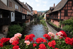 Kaysersberg, Alsace, Frankrig