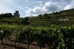 Kaysersberg, Alsace, Frankrig