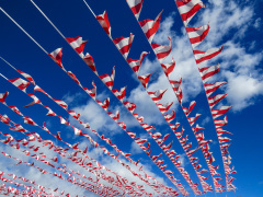 Vandretur på Highline Park, gammel hævet godstogsspor lavet om til park, New York, USA