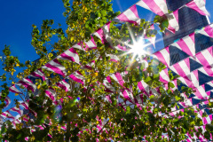 Vandretur på Highline Park, gammel hævet godstogsspor lavet om til park, New York, USA