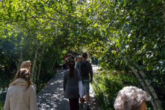 Vandretur på Highline Park, gammel hævet godstogsspor lavet om til park, New York, USA