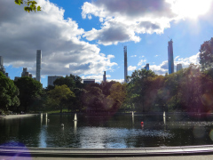 Vandretur i Central Park, New York, USA