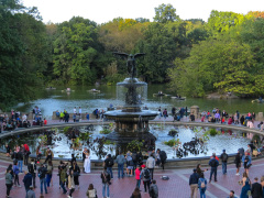 Vandretur i Central Park, New York, USA