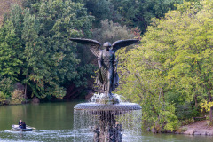 Vandretur i Central Park, New York, USA