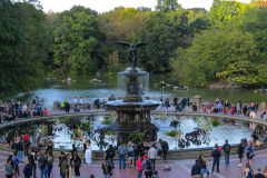 Vandretur i Central Park, New York, USA