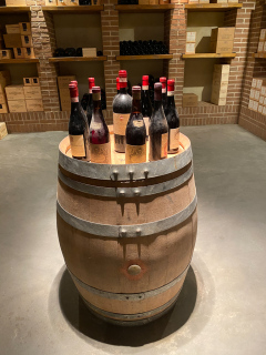 Poderi Luigi Einaudi, Dogliani, Piemonte, Italien