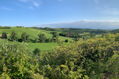 Poderi Luigi Einaudi, Dogliani, Piemonte, Italien
