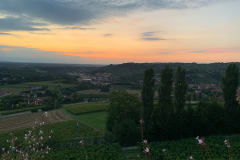Poderi Luigi Einaudi, Dogliani, Piemonte, Italien