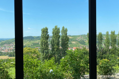Poderi Luigi Einaudi, Dogliani, Piemonte, Italien