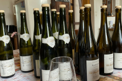 Vinsmagning hos Domaine Schoffit, Colmar, Alsace