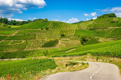 Grand Cru Brand, Turckheim, Alsace