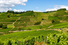 Grand Cru Brand, Turckheim, Alsace