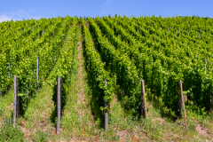 Grand Cru Brand, Turckheim, Alsace