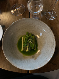 Dansk Hamachi-tun med grønne asparges, rarbarber, østers og syltede lakridsurter.