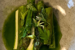 Dansk Hamachi-tun med grønne asparges, rarbarber, østers og syltede lakridsurter.