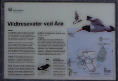 Årø