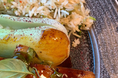 Bistro Panpan i Zoologisk Have i København.