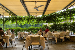 Middag på vores stamrestaurant i Dogliani, Il Torchio