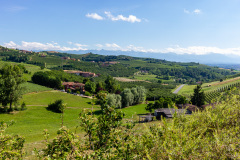 Poderi Luigi Einaudi, Piemonte, Italien