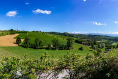 Poderi Luigi Einaudi, Piemonte, Italien