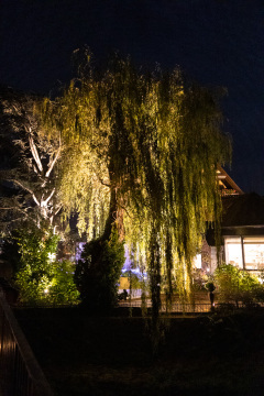 En lille tur rundt om restauranten, på vej tilbage til hotellets skønne 5 stjernede luksus venter.