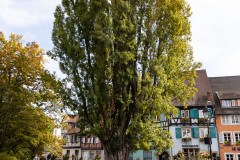 En tur til smukke Colmar.