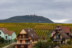 Vinsmagning og storindkøb hos Rolly Gassmann i Rorswihr.