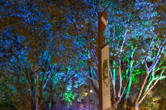 Turckheim by night