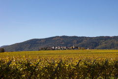 Zellenberg.