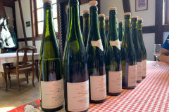 Vinsmagning hos Domaine Schoffit i Colmar, en af de absolutte topproducenter i Alsace.