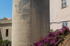 20220715-124239-0189_Canon-EOS-R6