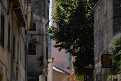 20220716-131940-0298_Canon-EOS-R6