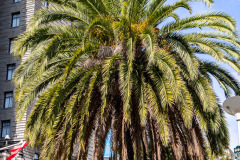 20221011-120728-0300_Canon-EOS-R6
