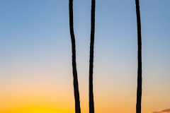 20221018-182703-0105_Canon-EOS-R6