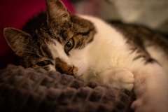 20220426-221449-0023_Canon-EOS-R6